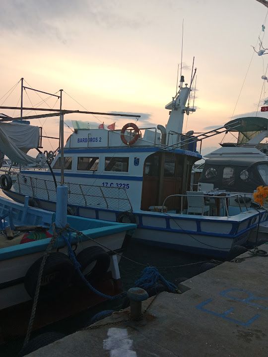 Yorum fotoğrafı 4