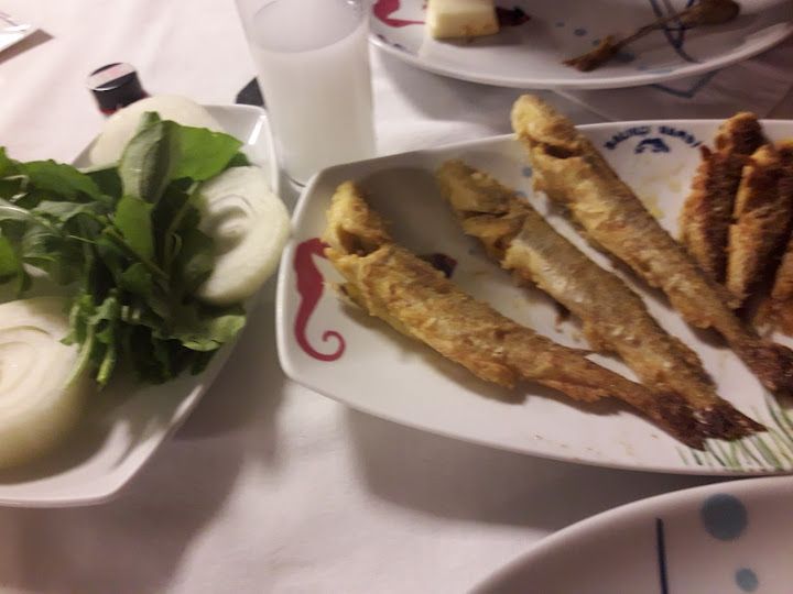 Fotoğraf 24
