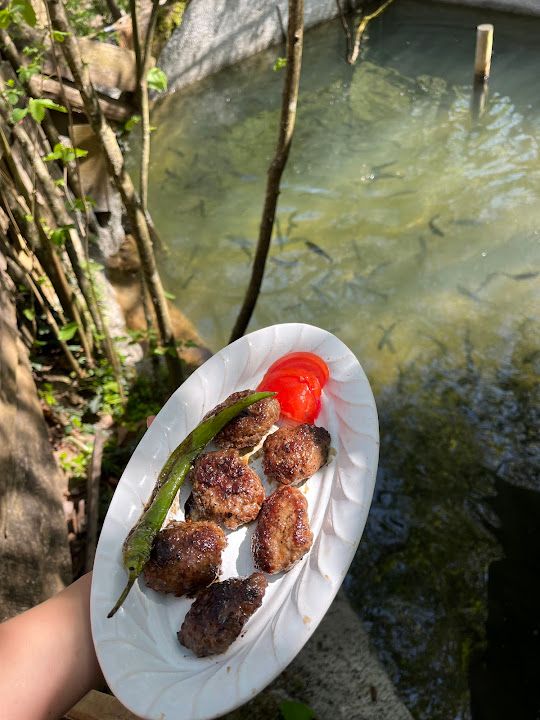 Fotoğraf 23
