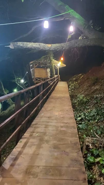 Fotoğraf 27