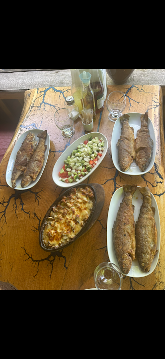 Fotoğraf 24