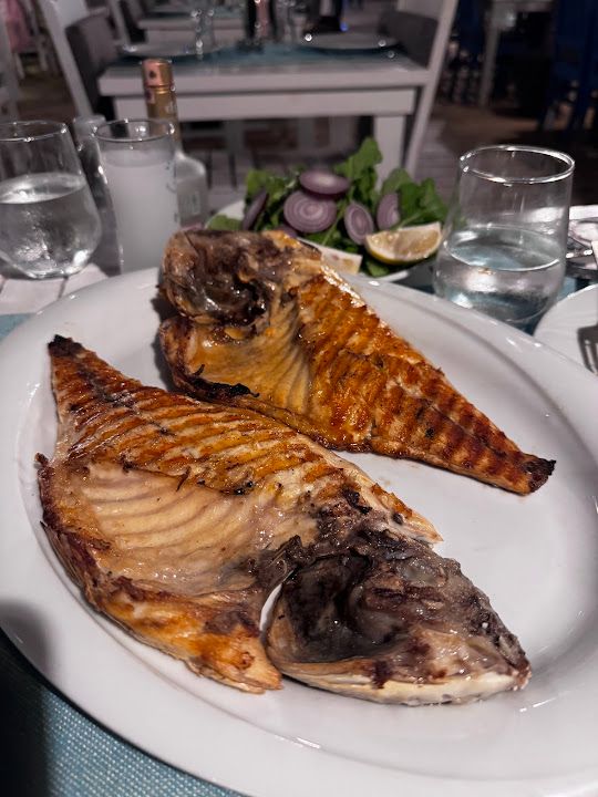 Fotoğraf 40