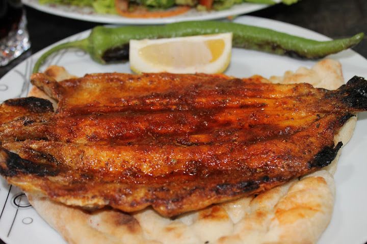 Fotoğraf 23