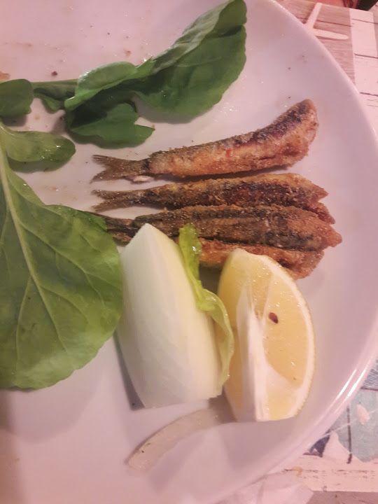 Fotoğraf 31