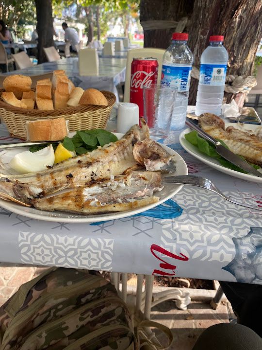 Fotoğraf 37