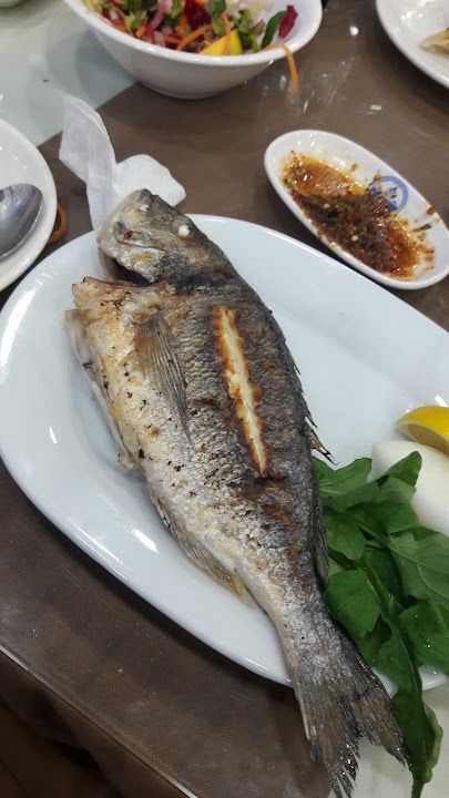 Fotoğraf 45