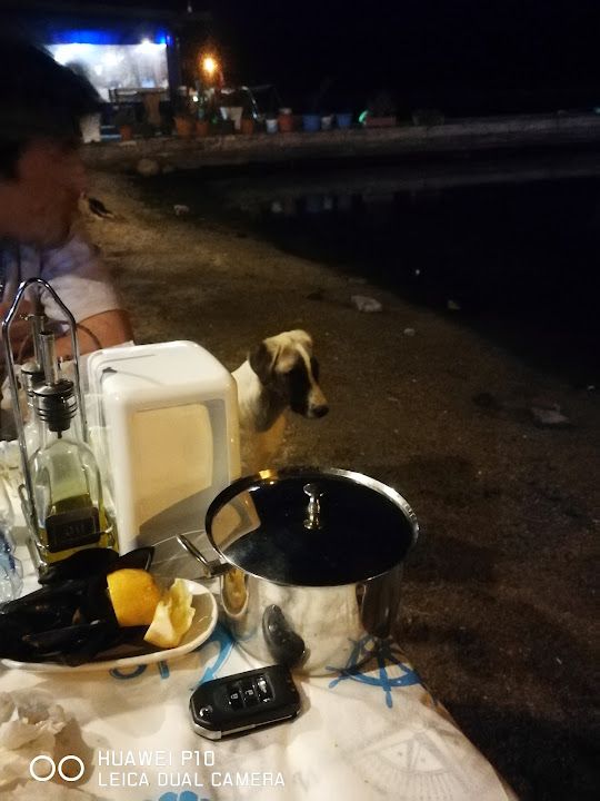 Fotoğraf 17
