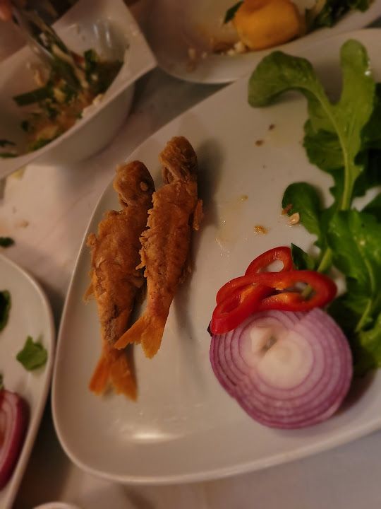 Fotoğraf 37