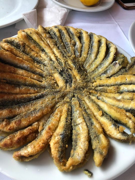 Fotoğraf 47