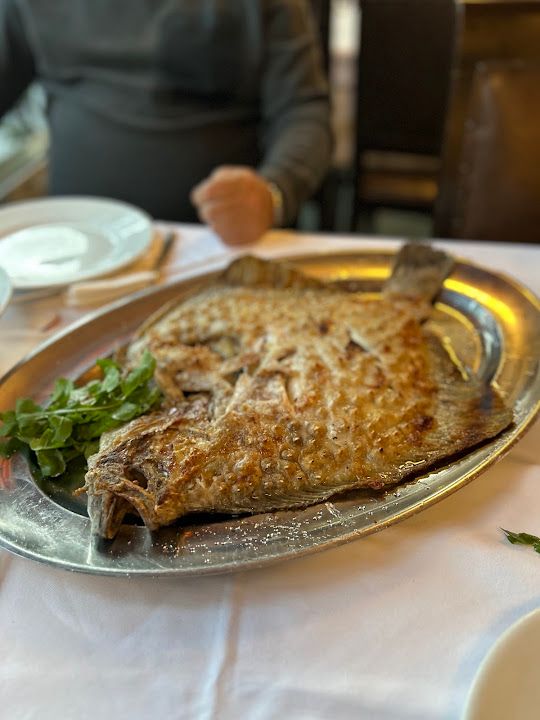 Fotoğraf 36
