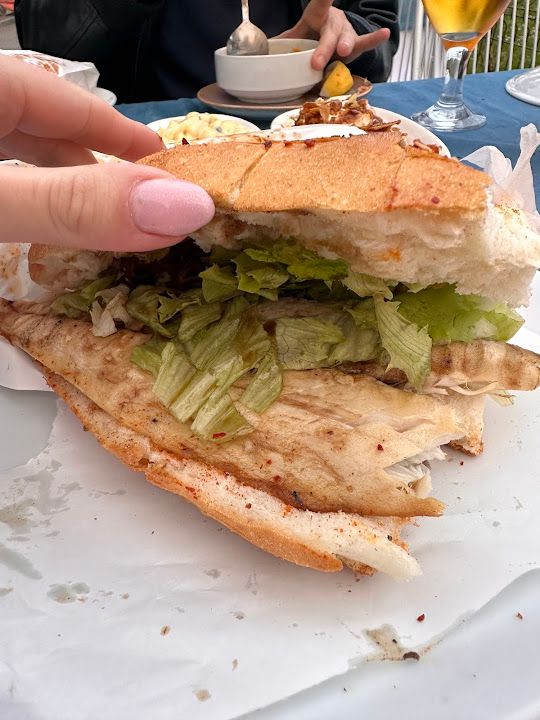 Fotoğraf 43