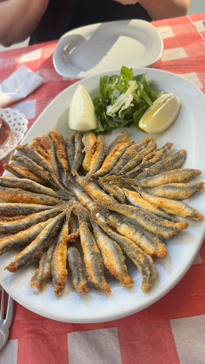 Fotoğraf 20