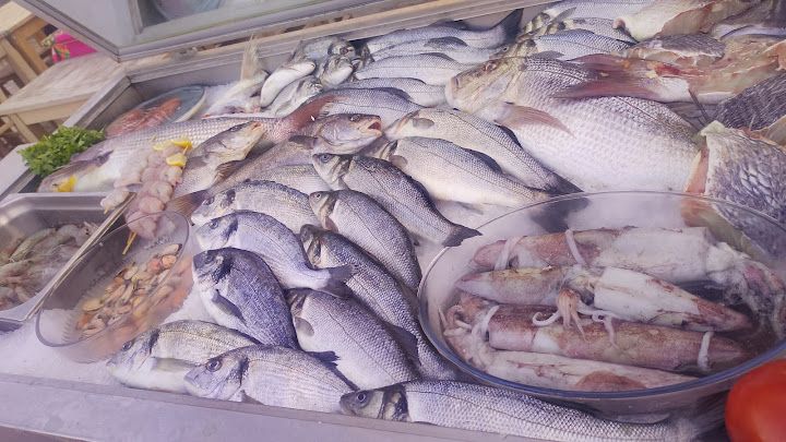 Fotoğraf 20