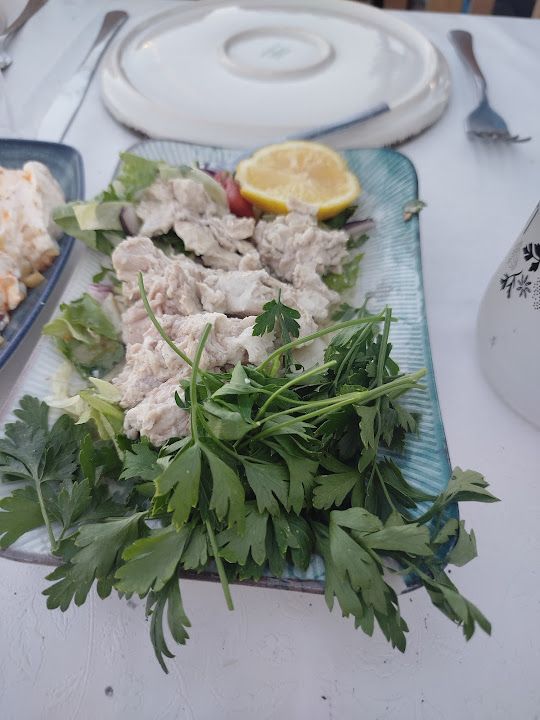 Fotoğraf 26