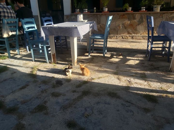 Yorum fotoğrafı 4