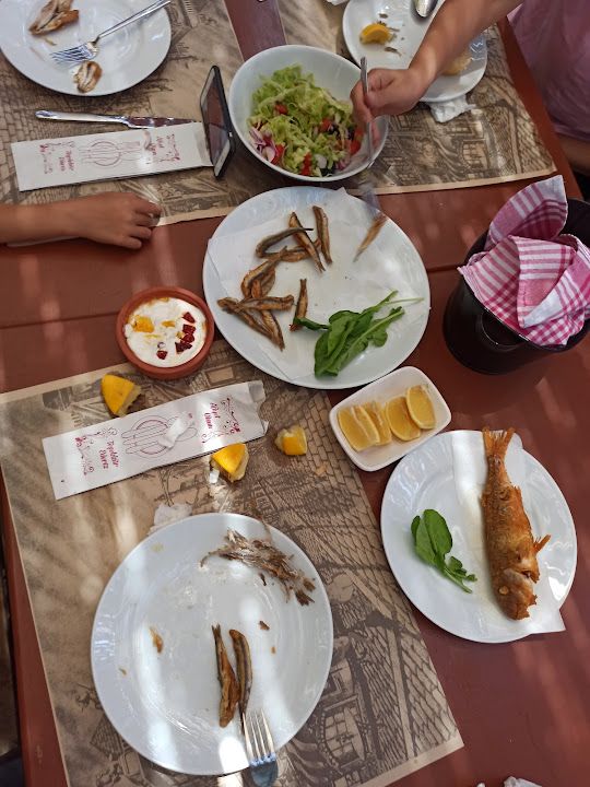 Fotoğraf 19
