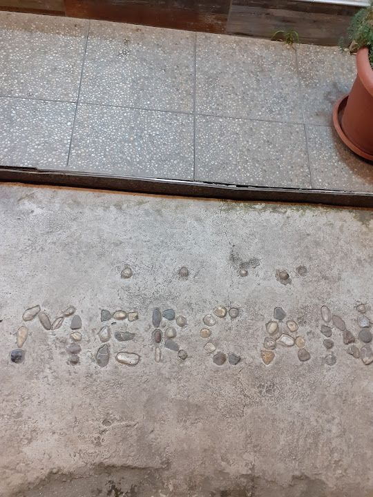 Fotoğraf 17