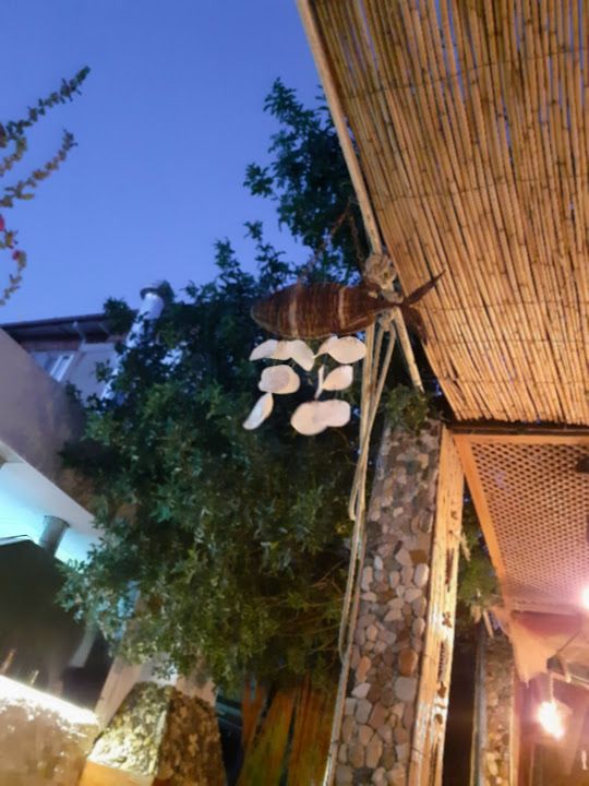 Fotoğraf 18