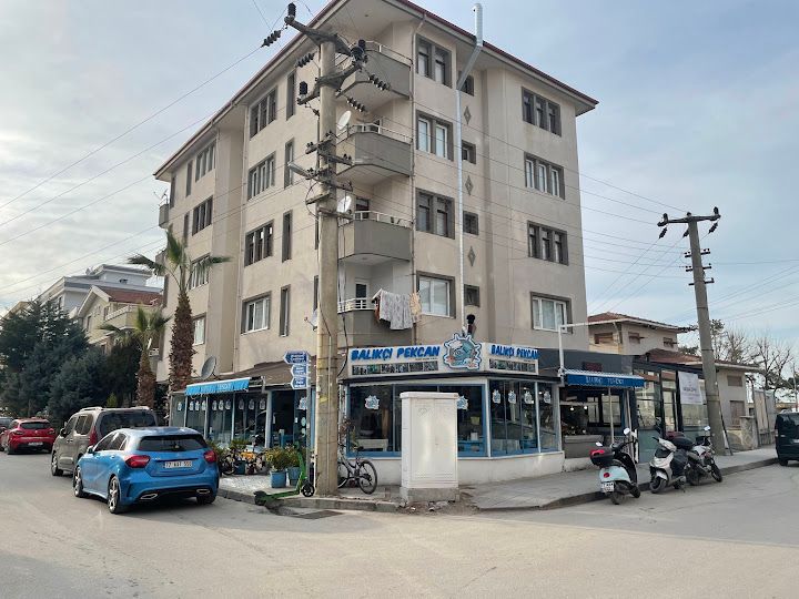 Fotoğraf 23