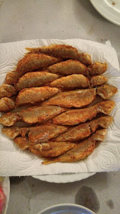 Fotoğraf 22