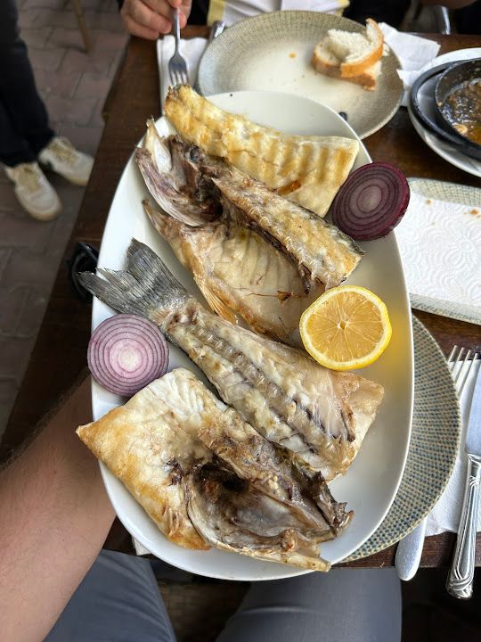 Fotoğraf 24