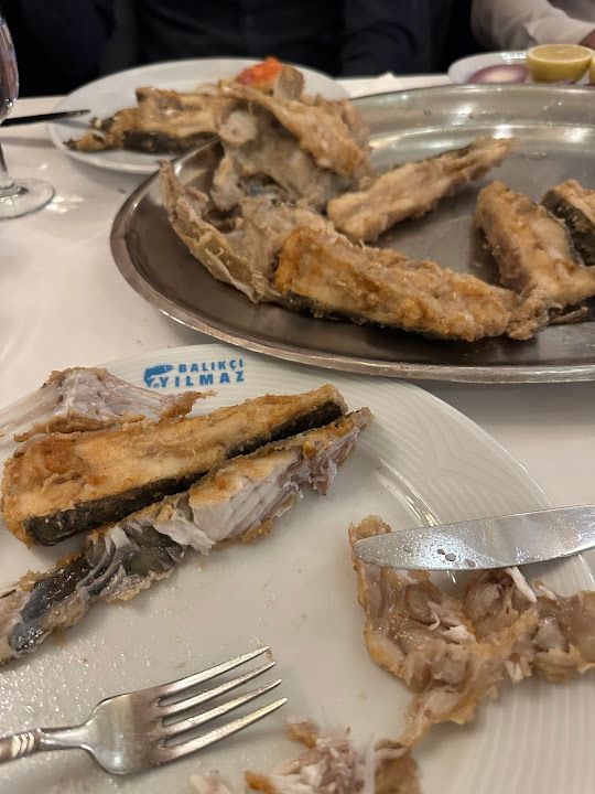 Fotoğraf 22