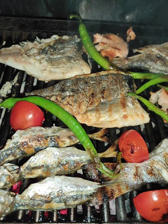 Fotoğraf 27
