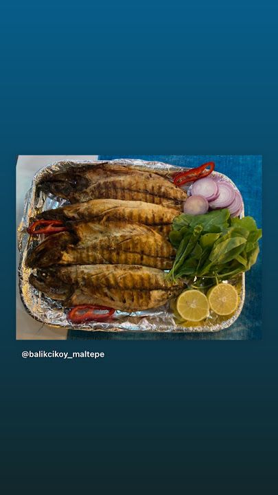 Fotoğraf 16