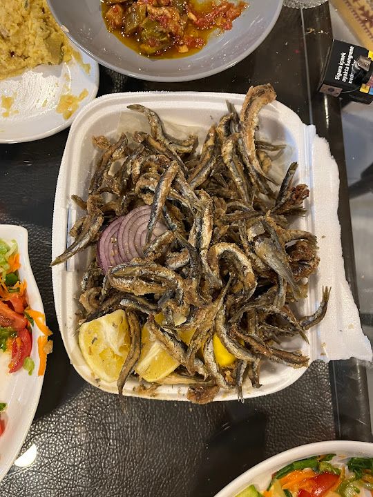 Yorum fotoğrafı 1