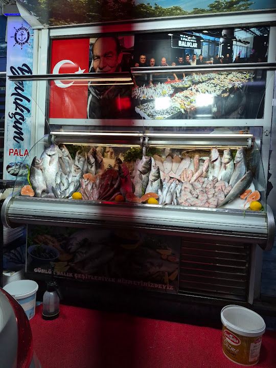 Fotoğraf 22