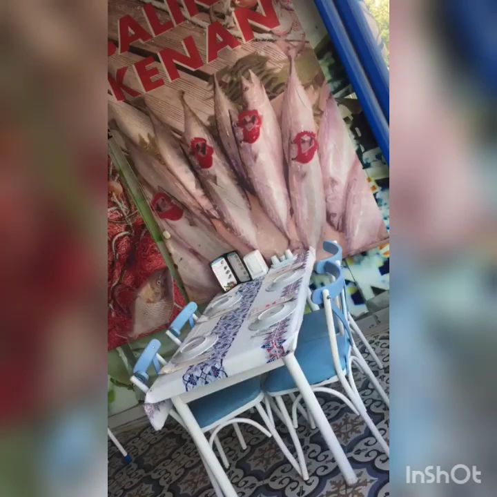 Fotoğraf 16