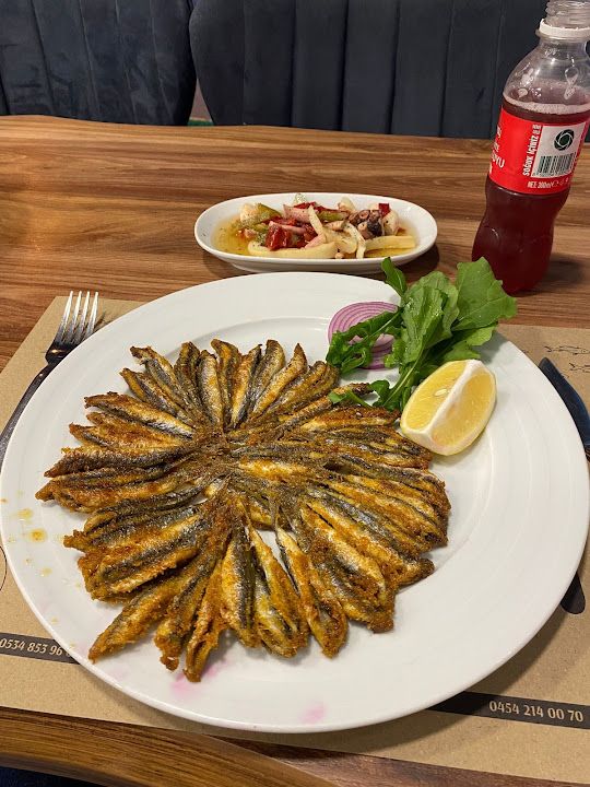 Yorum fotoğrafı 1