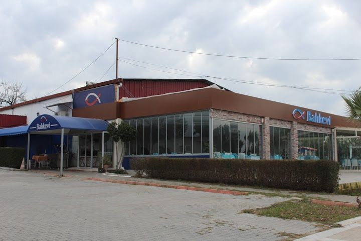 Fotoğraf 12