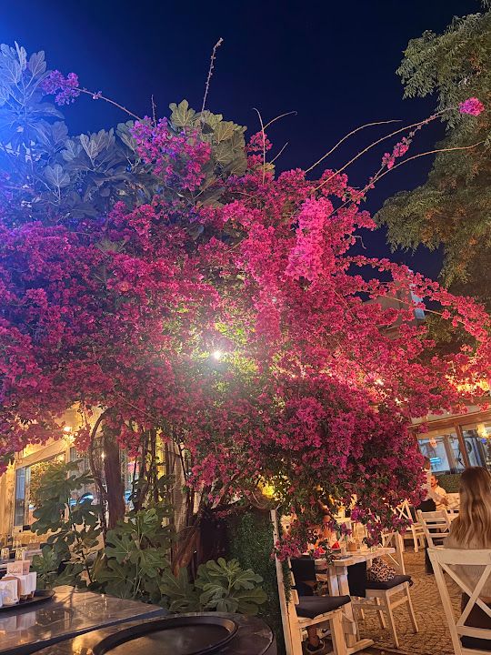 Fotoğraf 28