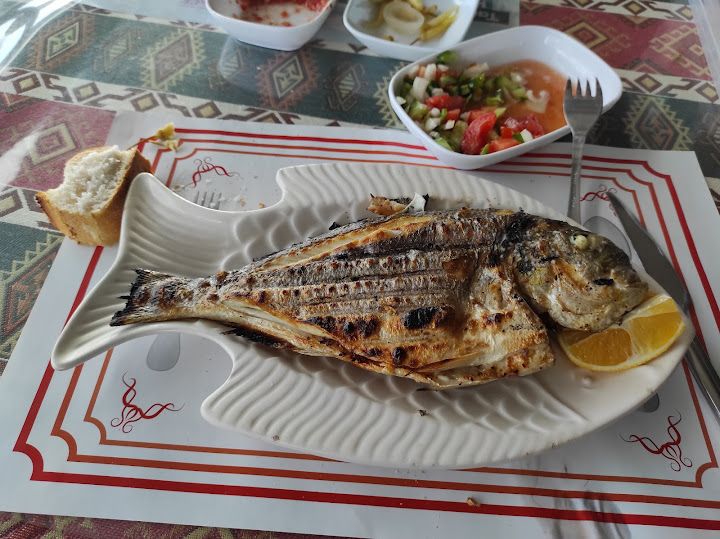 Fotoğraf 26