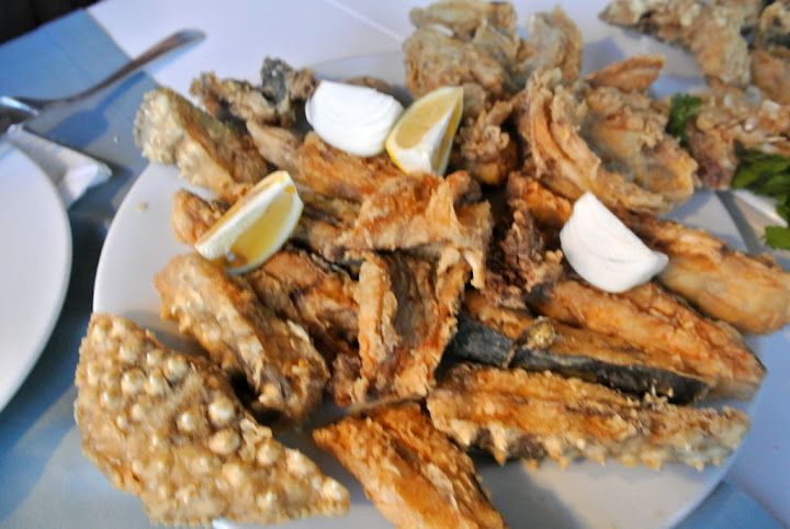 Fotoğraf 46