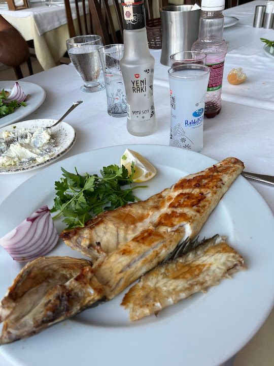 Fotoğraf 47