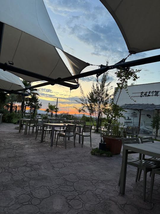 Fotoğraf 21