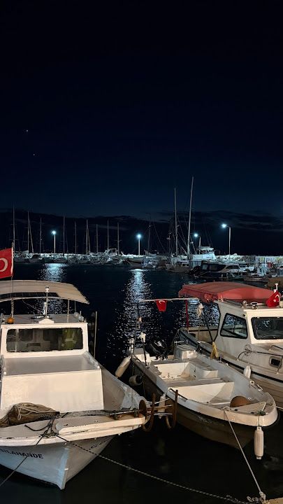 Fotoğraf 15