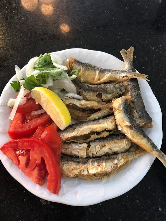 Fotoğraf 11