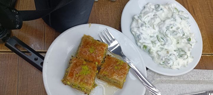 Fotoğraf 33