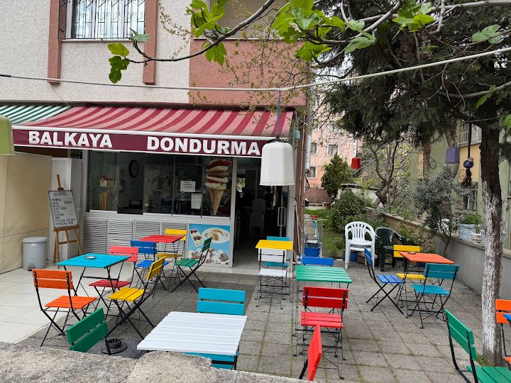 Fotoğraf 16