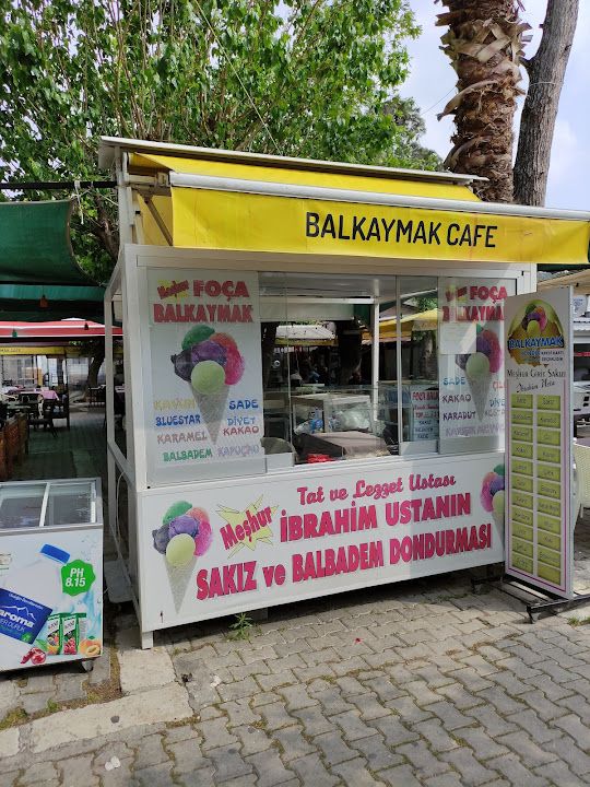 Fotoğraf 12