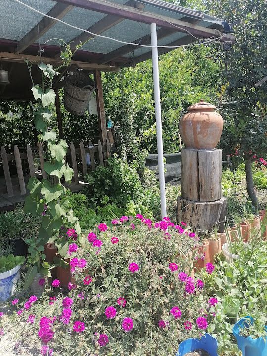 Fotoğraf 43