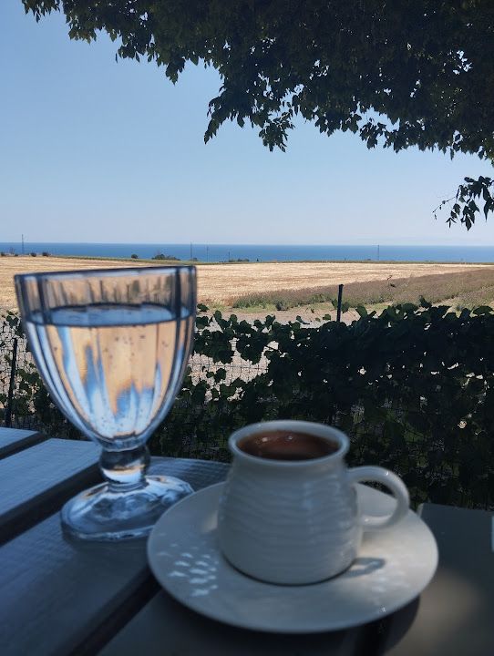 Fotoğraf 31