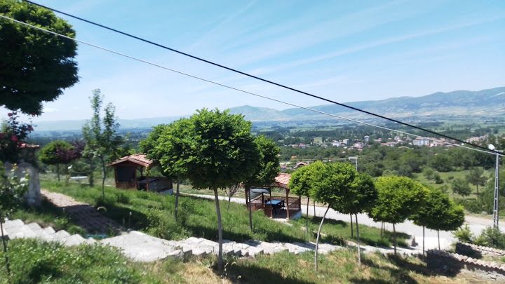 Yorum fotoğrafı 4