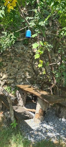Fotoğraf 13