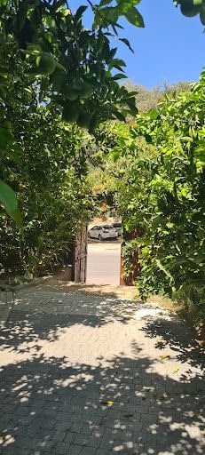 Fotoğraf 14