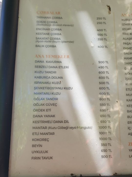 Fotoğraf 41