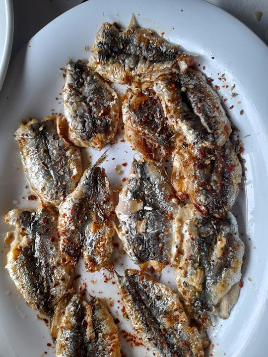 Fotoğraf 42